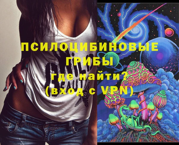 прущие грибы Краснотурьинск
