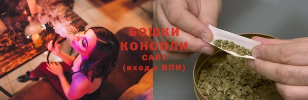 прущие грибы Краснотурьинск