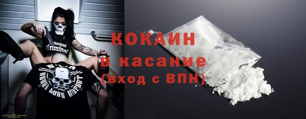 прущие грибы Краснотурьинск