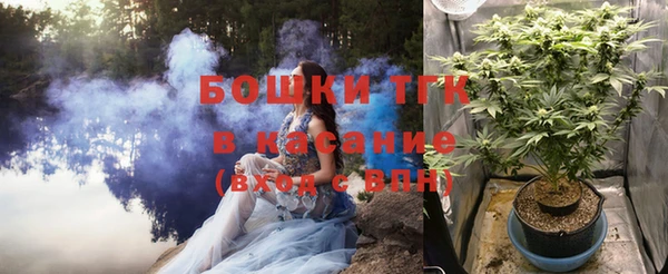амф Краснослободск