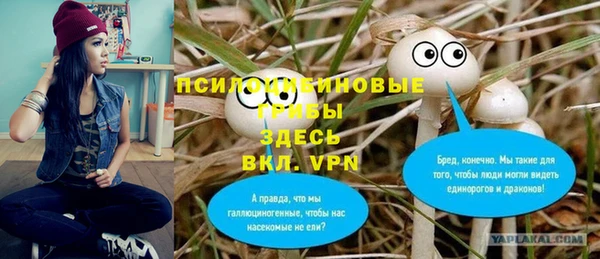 дживик Сосновоборск