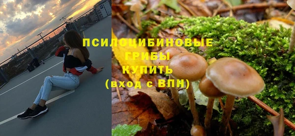 амф Краснослободск