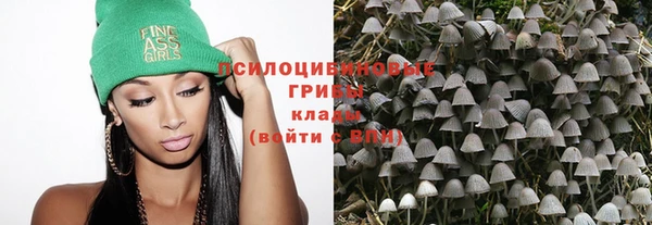 амф Краснослободск